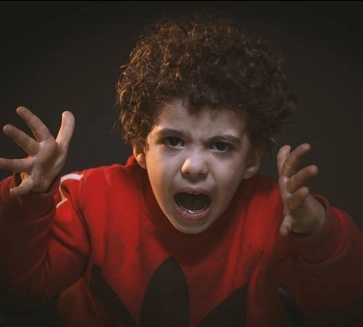 Anger and Aggressiveness